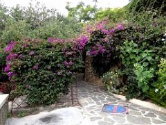 183 D25 BORMES LES MIMOSAS 3_000013